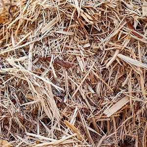 Щепа для арболита оптом в Чебоксарах и других различных марок заказать от 16 тонн